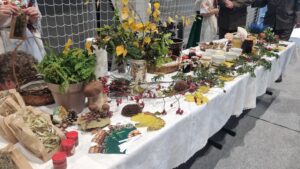 Festiwal Leśnych Smaków – galeria